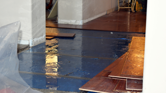 What are the 5 Key Benefits of Hiring Water Damage Restoration Services?